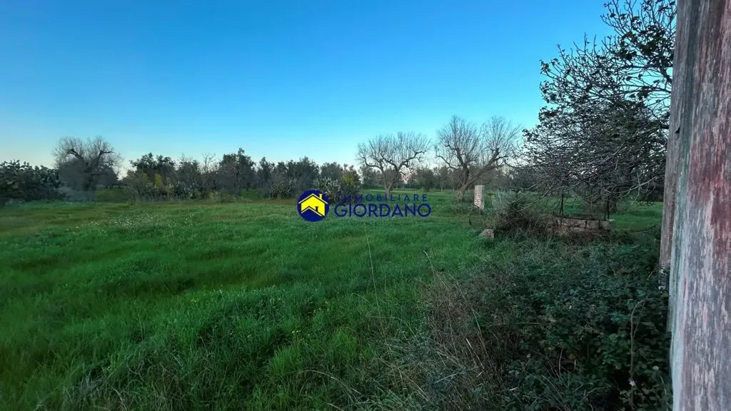 Garden - Rustic Property with Garden in Squinzano