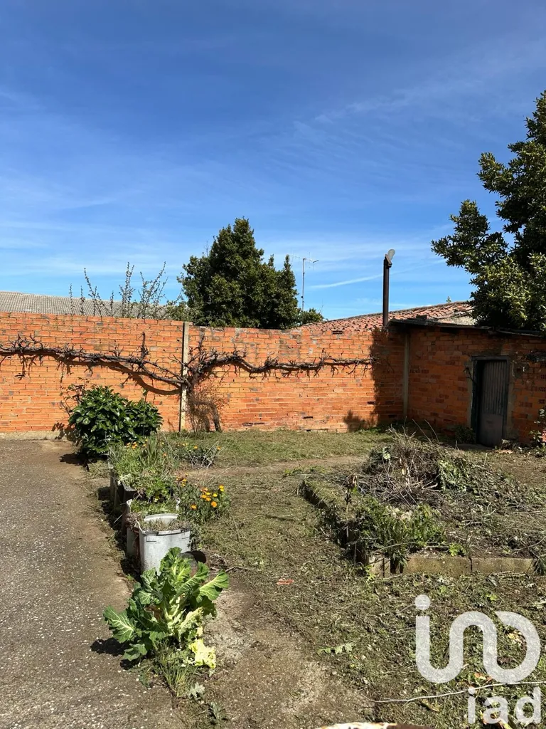 Jardin - Spacious House with Garden in La Bañeza