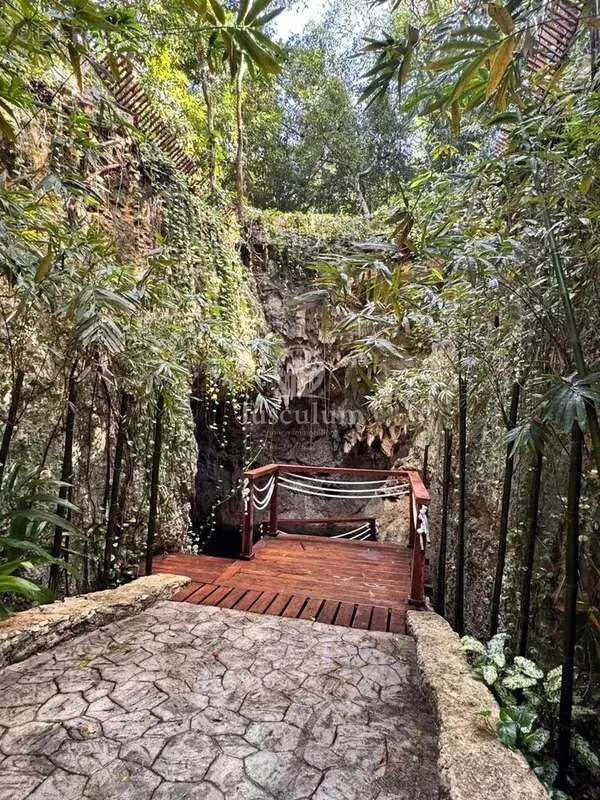 Aed - Luxury Villa with Jungle View in Riviera Maya