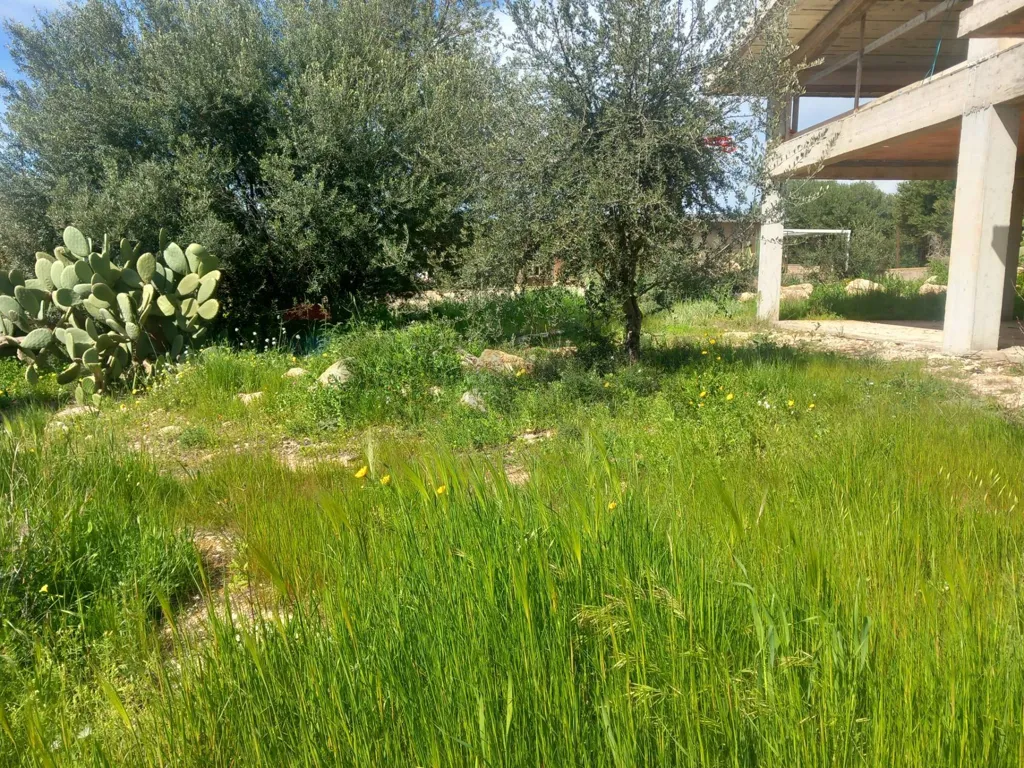 Jardin - Newly Built Villa with Garden in Cerasella