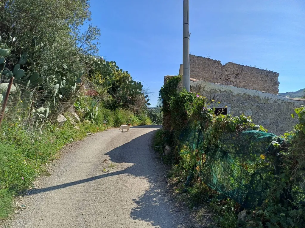 Exterior - Rustic Ruin with Panoramic View in Favara