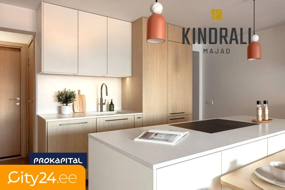 Kitchen - Apartment with Sauna and Balcony in Kristiine