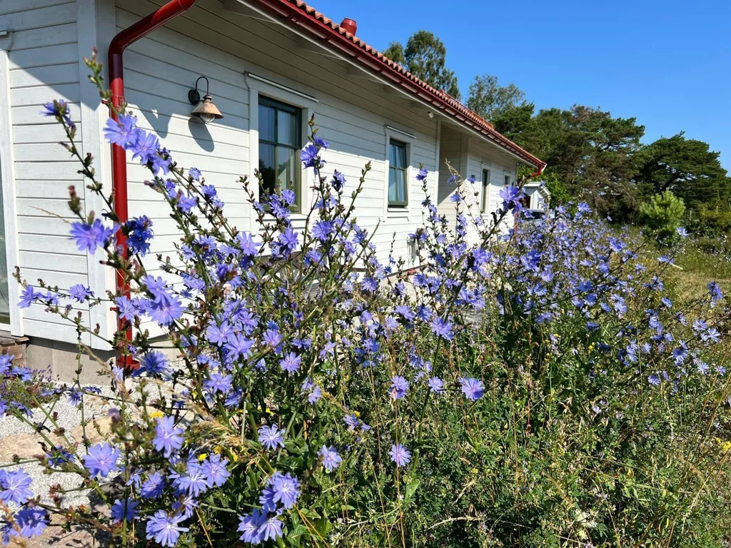 Esterno - Villa with Pool and Sea View in Östergarn