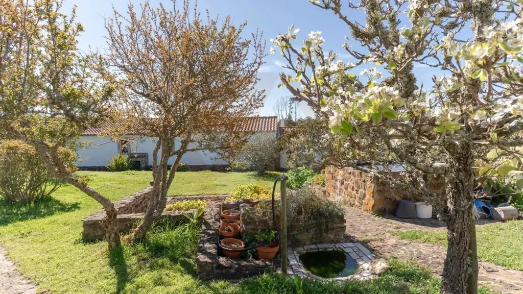 Jardin - Equestrian Villa with Water View in Beja District