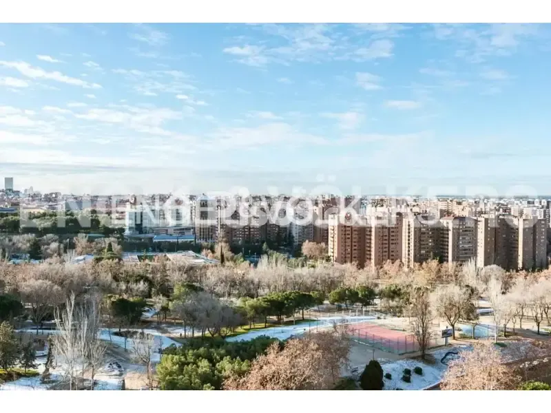 Furnished Flat with Pool in Fuencarral