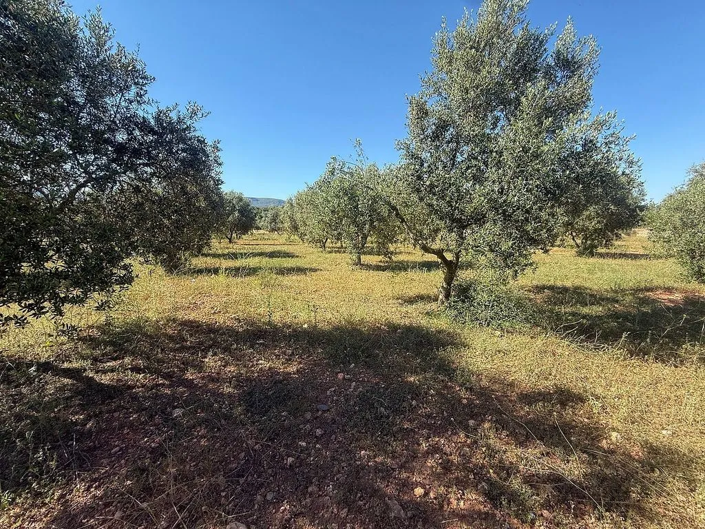 Aed - Rural House with Pool in Valls de Vell