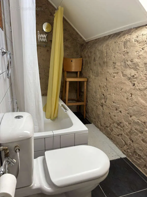 Salles de bain - Fermette avec deux logements et jardin à Laféline