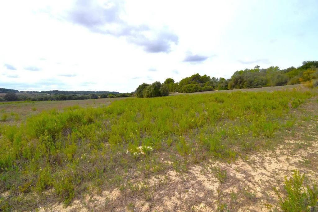 Aed - Rustic Plot with House Project in Muro