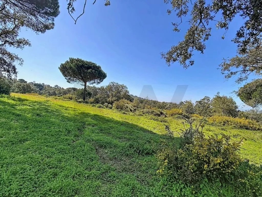Jardin - Development Land with Water Features in Sesimbra
