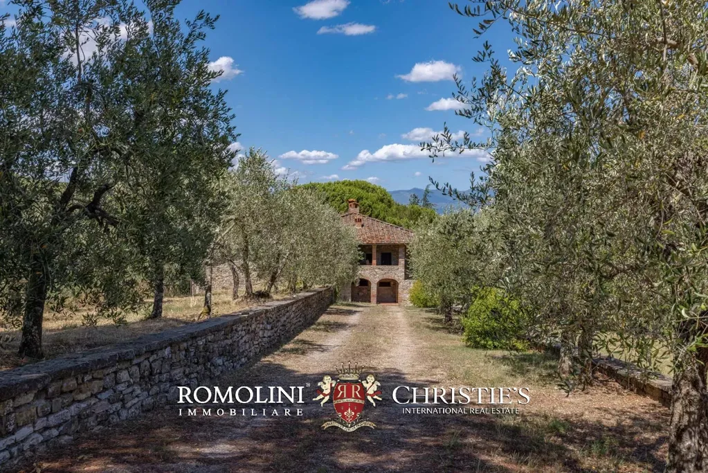 Aed - Rustic Farmhouse with Panoramic Views in Chianti