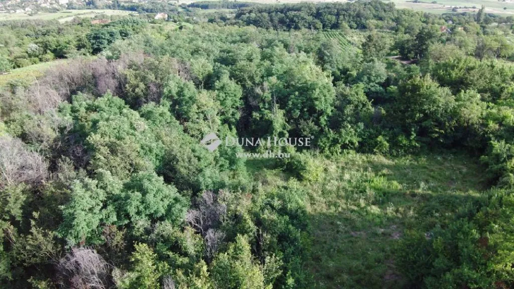 Vista aerea - Rural Plot with Panoramic View in Köveskál