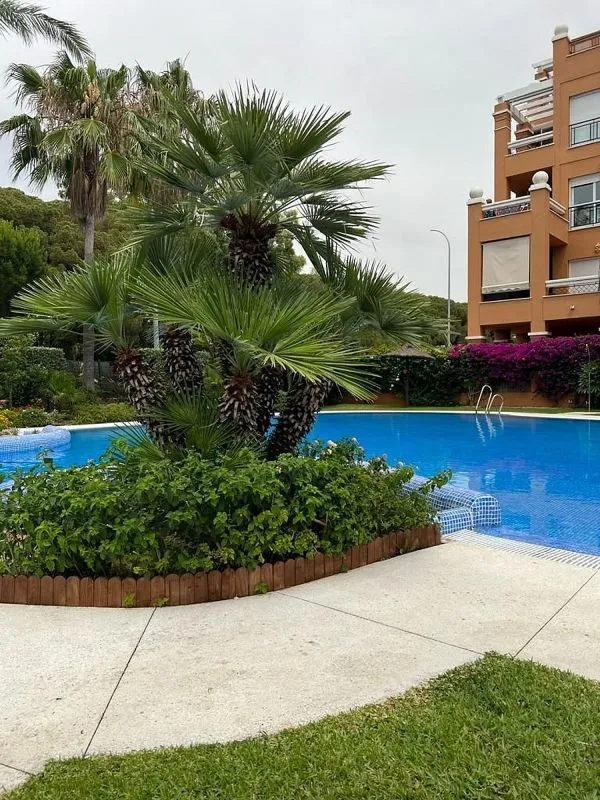 Piscine - Apartment with Terrace in El Ancla