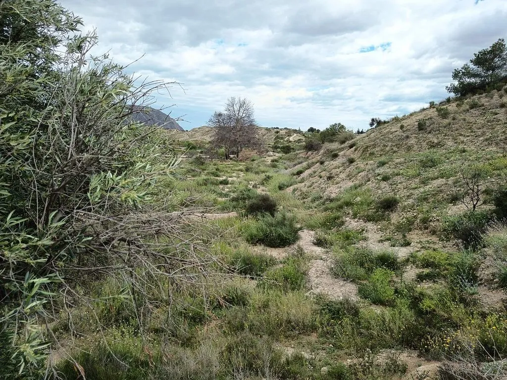 Jardin - Cave House with Potential in La Alcoraya