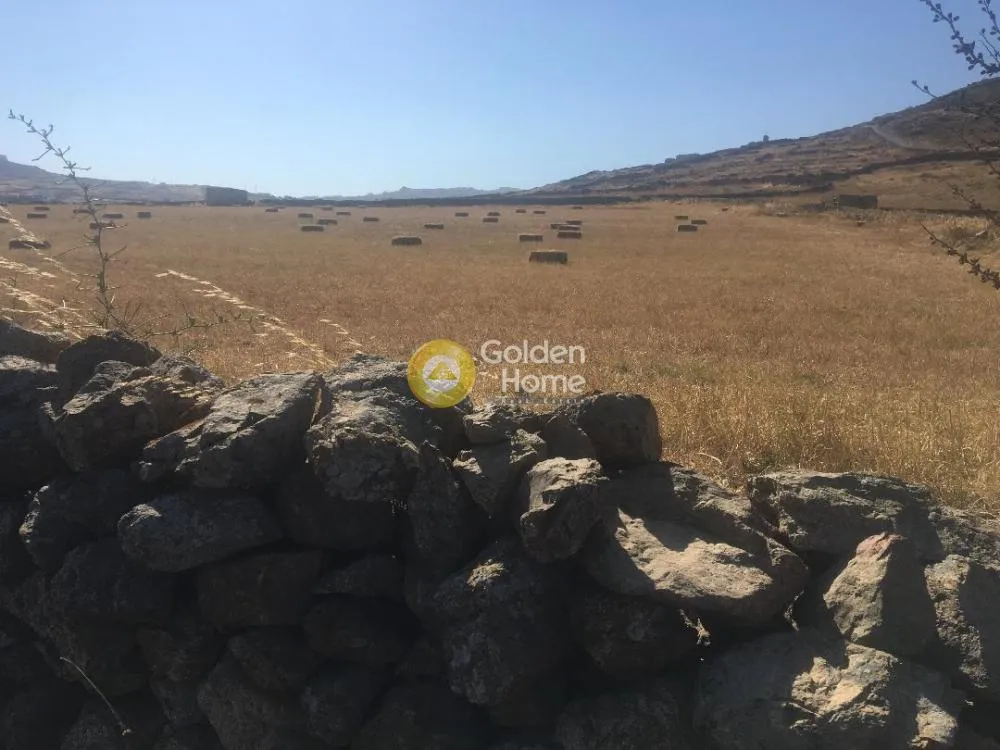 Aed - Plot with Unrestricted View in Mykonos - Panormos