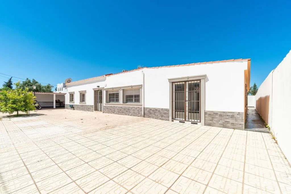Garden - Luxury Villa with Pool in Torrevieja