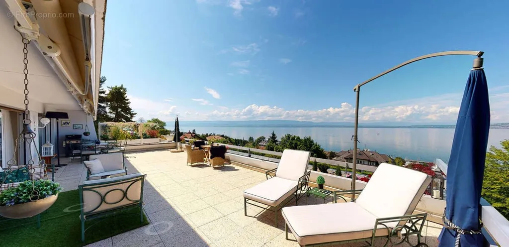terrace_patio