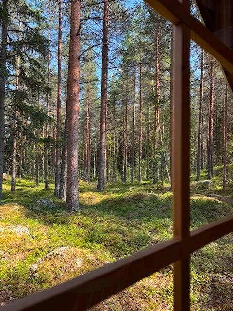 Pièces - Modern Cabin with Sea View in Oitti