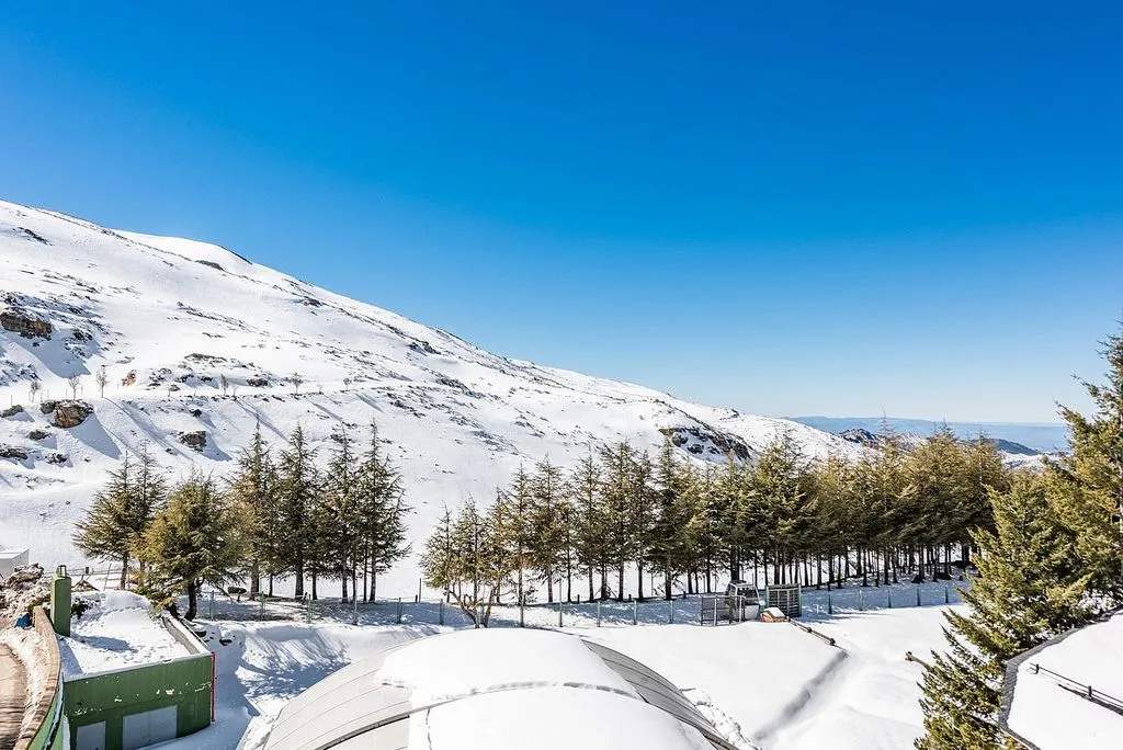 Balcon - Apartment with Terrace in Sierra Nevada