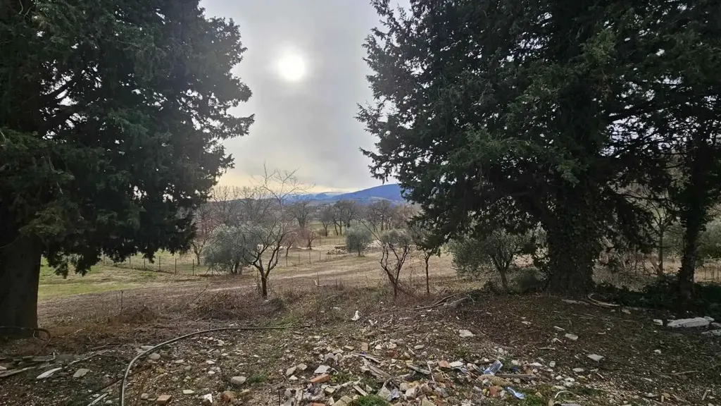 Aed - New Villa with Olive Grove near San Severino Marche