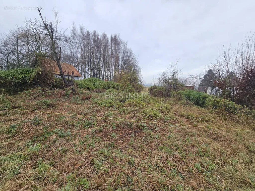 Jardin - Terrain avec Vue sur Clocher à Moncheaux