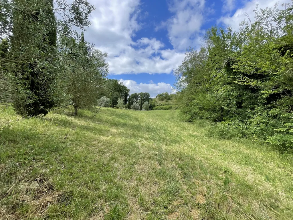 Jardin - Villa with Private Park in Campagnano di Roma