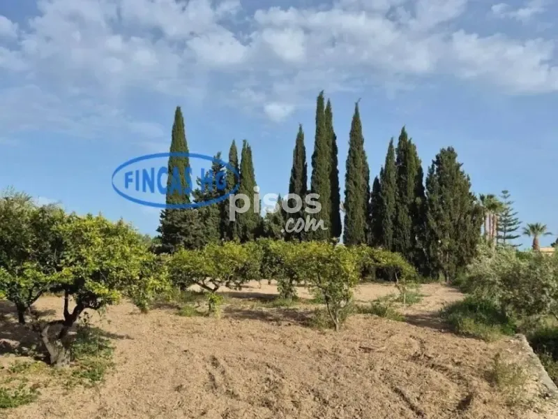 Jardin - Estate with Pool and Garden in Mutxamel