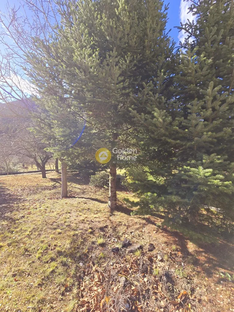 Aed - Detached House with Garden in Arachova Meadow