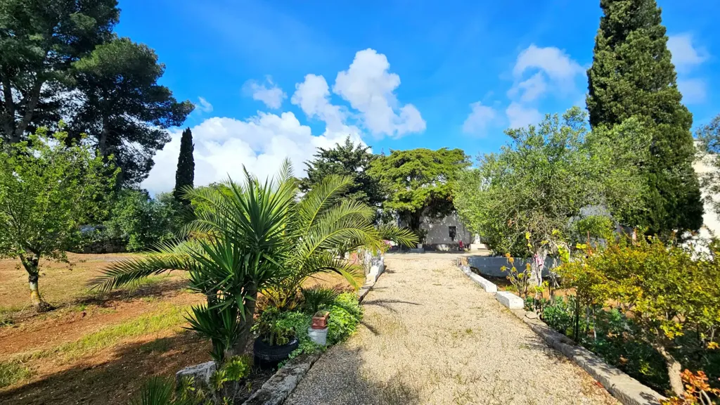 Jardin - Villa with Olive Grove near Carovigno
