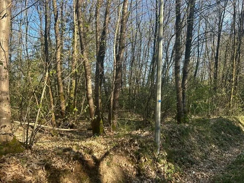 Jardin - Bois Taillis à Vendre à Le Vieil-Baugé