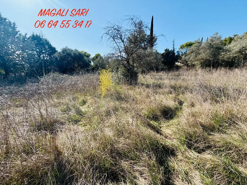 Jardin - Maison à Rénover avec Terrain Constructible à Alès