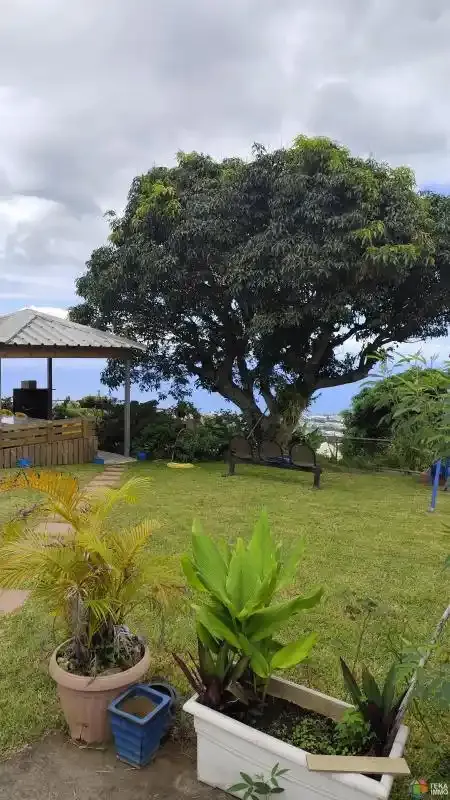 Jardin - Maison avec Vue Imprenable à Saint-François