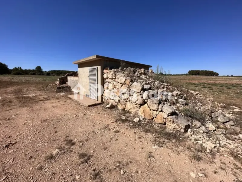 Jardin - Historic Finca with Vineyards in Requena