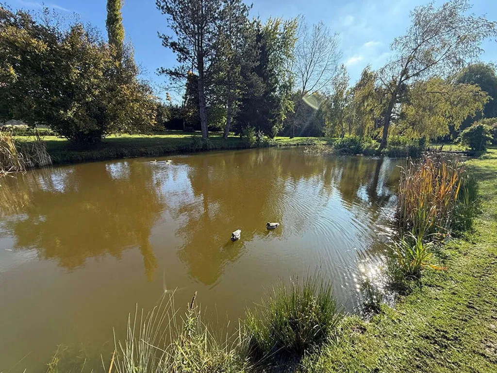 Jardin - Moulin Rénové avec Gîte dans les Vosges