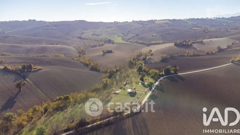 Vista aerea - Traditional Rustico with Olive Trees in Appignano
