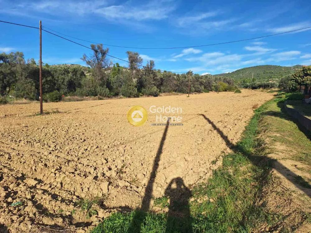 Jardin - Agricultural Plot with Unobstructed View in Chalkida