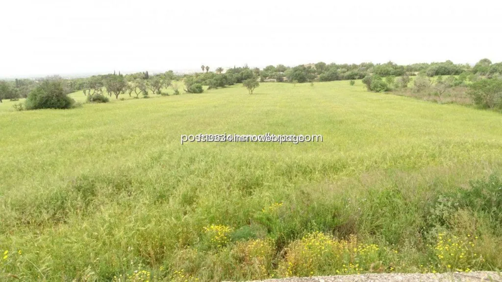 Garden - Rustic Plot with Panoramic Views in Llucmajor