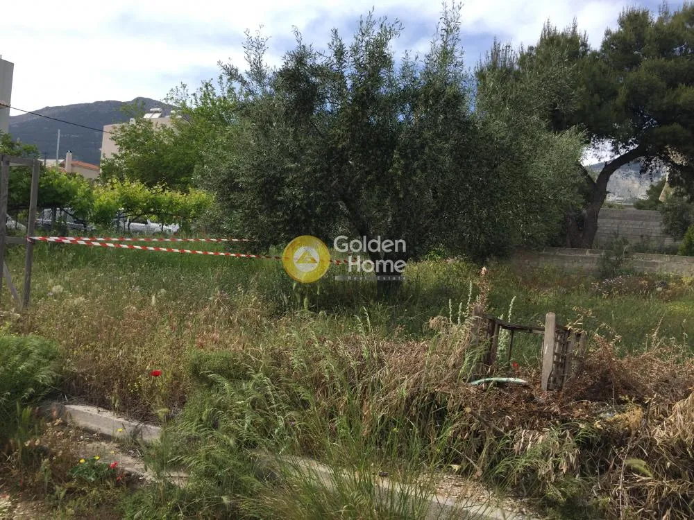 Aed - Plot for Development with Sea View in Athens Western Suburbs