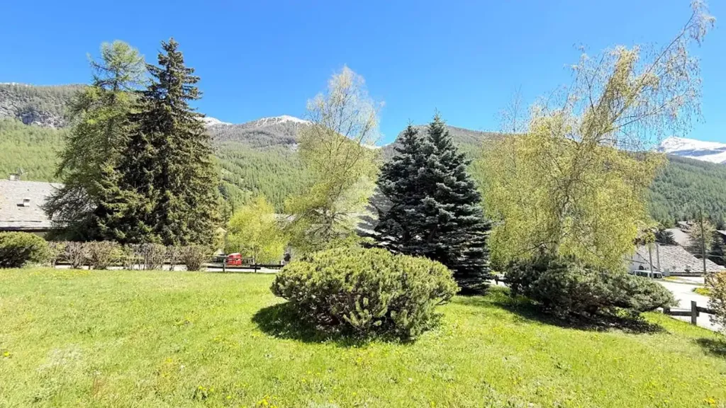 Aed - 2-Bedroom Apartment with Private Terrace in Pragelato