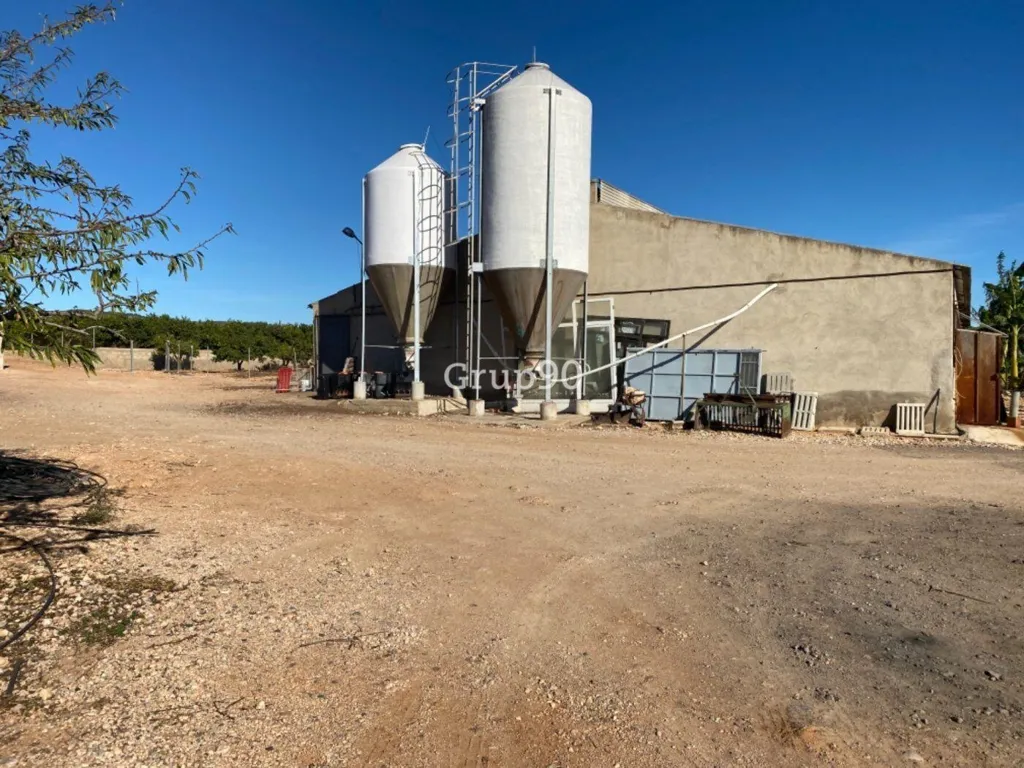 Jardin - Pig Farm with Cultivation in Cabanes