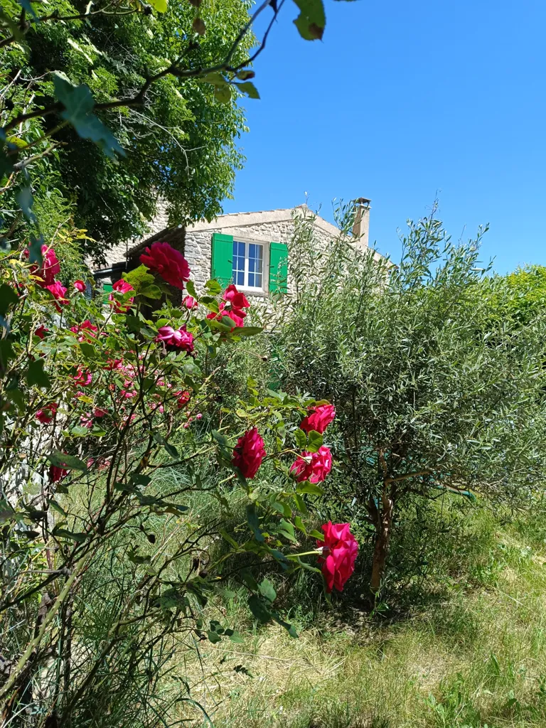 Garden - Rustic Village House with Garden in Monieux