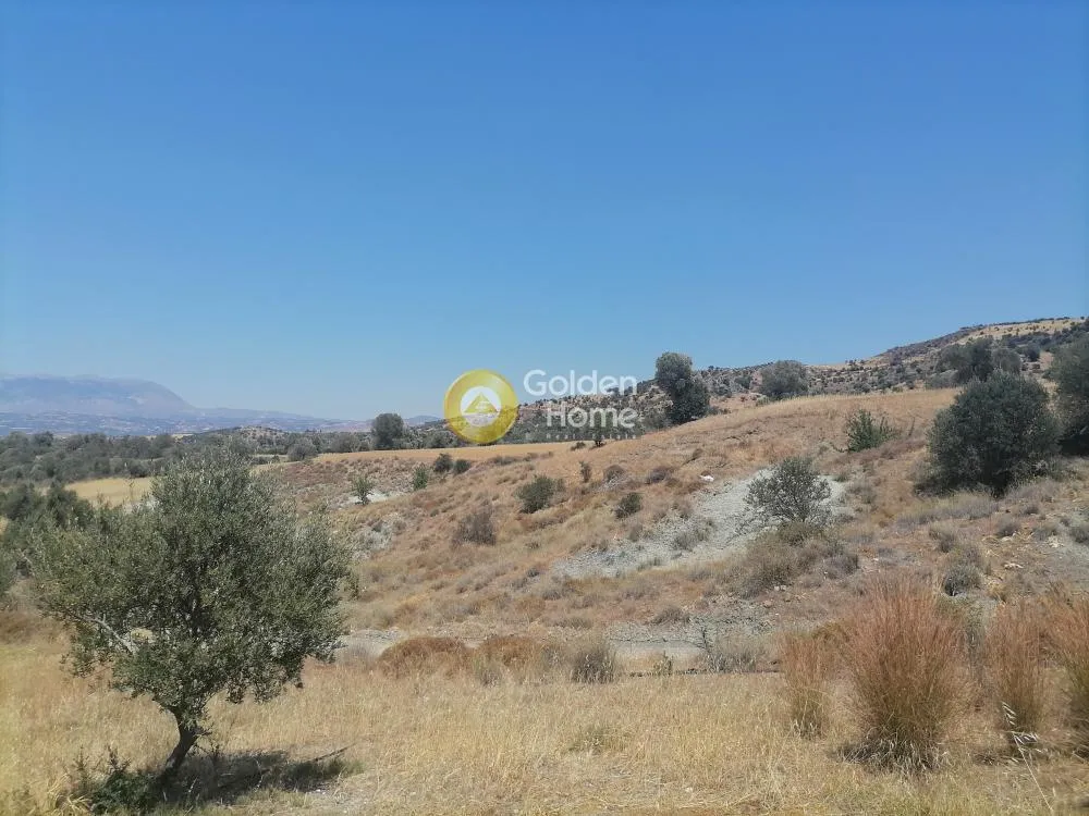 Garden - Buildable Plot with Olive Trees in Phaistos