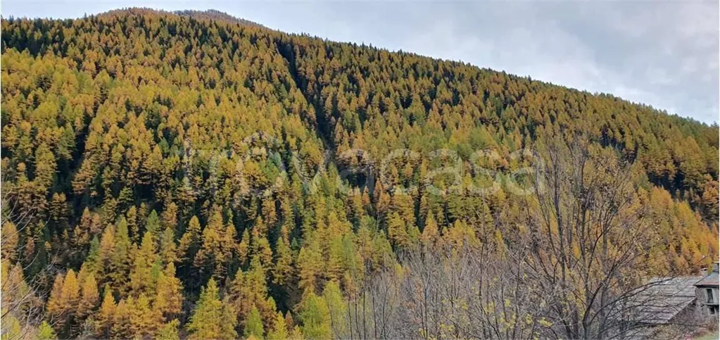 Historic Cottage with Garden in Bardonecchia