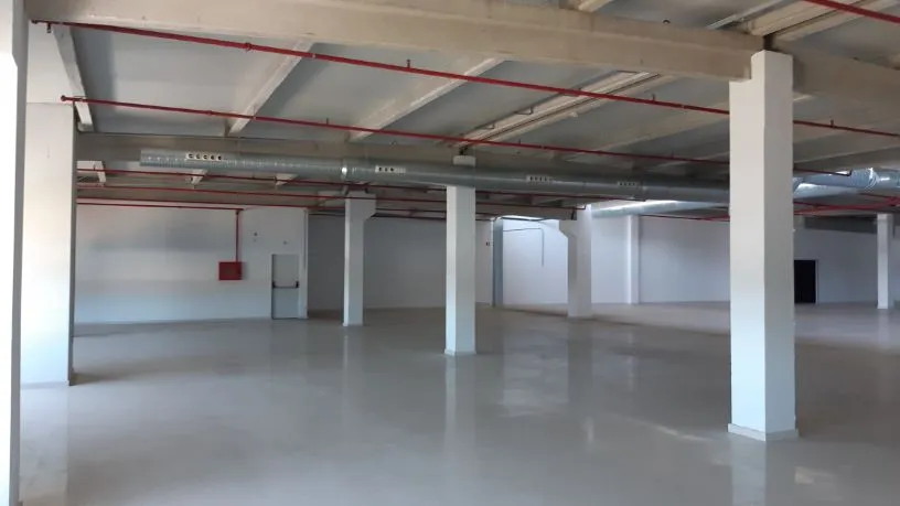 Industrial Warehouse in Vigo's PTL