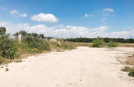 Giardino - Land Plot in Sant Joan D'Alacant, Alicante