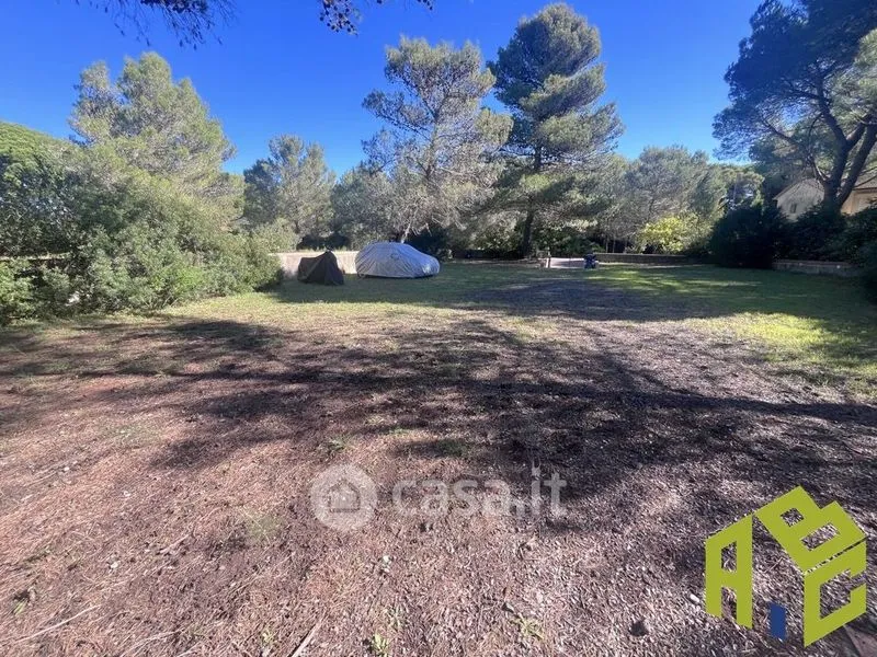 Jardin - Terraced House with Garden in Castiglioncello