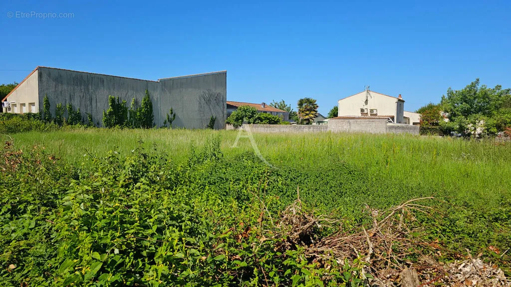 Aed - Buildable Plot with Sea Proximity in Saint Froult