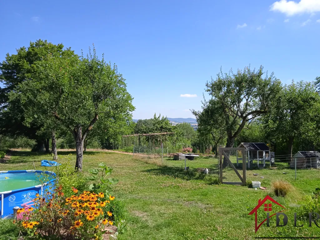 Garden - Charming Property with Two Homes near Bourbonne-les-Bains