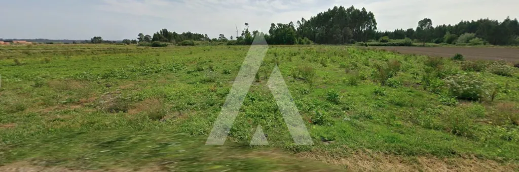 Jardin - 9,600 m² Land near Aveiro