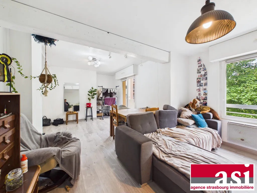 Elutuba - 3/4-Bedroom Apartment with Balcony in Strasbourg