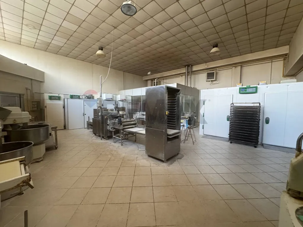 Köök - Commercial Lab with Open Plan in Magenta